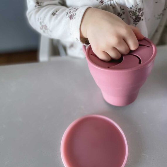 Eizzy Collapsible Snack Cups